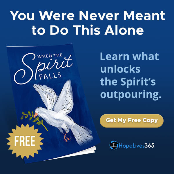 Request this FREE Resource