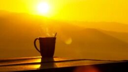 Healthy Morning Habits To Help You Have A Great Day