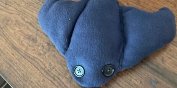 Struggling Mom With Only $2 Sews Birthday Gift For Her 5-Year-Old Kid, Then Strangers Step In