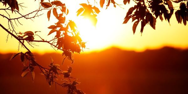 5 Ways to Find Comfort in Christ's Resurrection This Easter