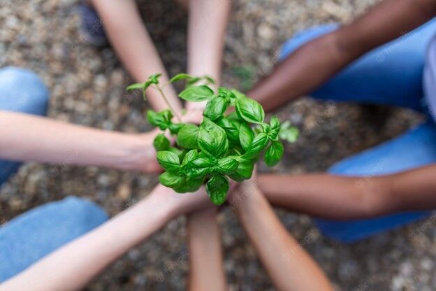 Cool Congregations Cohort