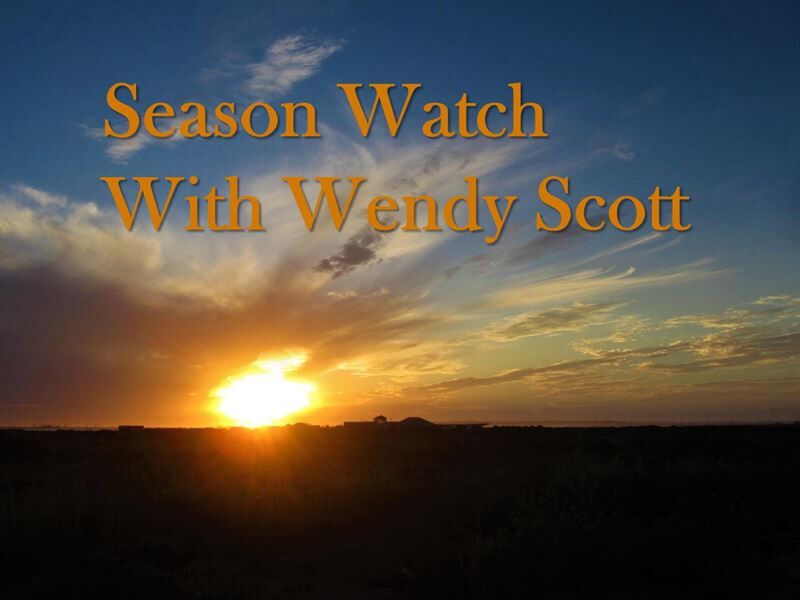 Season Watch with Wendy Scott