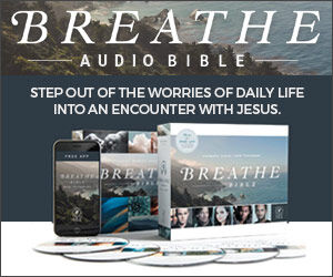 Book Of The Month - November 2017