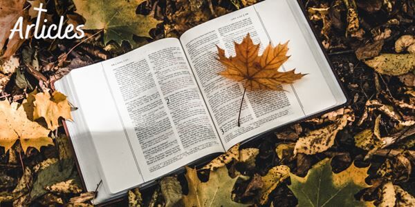 3 Ways to Reflect on God’s Faithfulness through the Changing Seasons