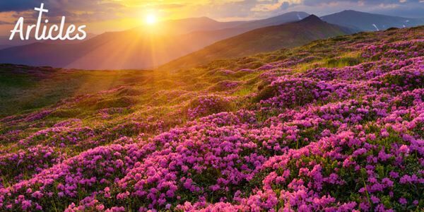 5 Ways Nature Reveals the Wonder of God’s Character