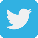 Twitter Icon