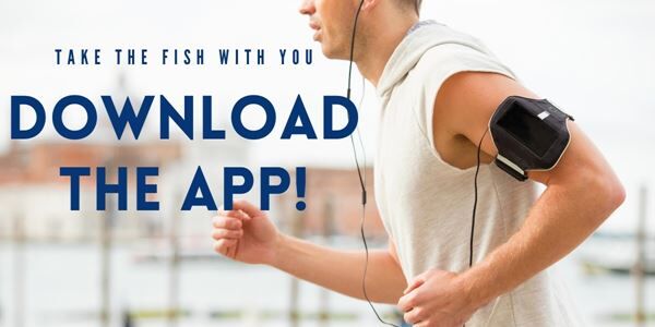 Download the Fish App!