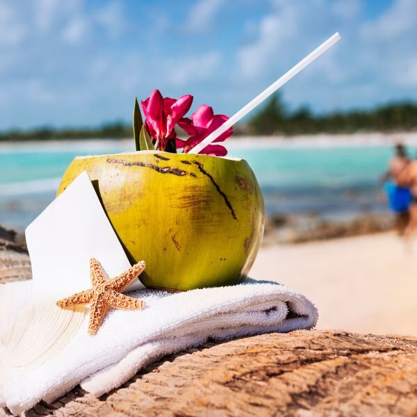 The Caribbean