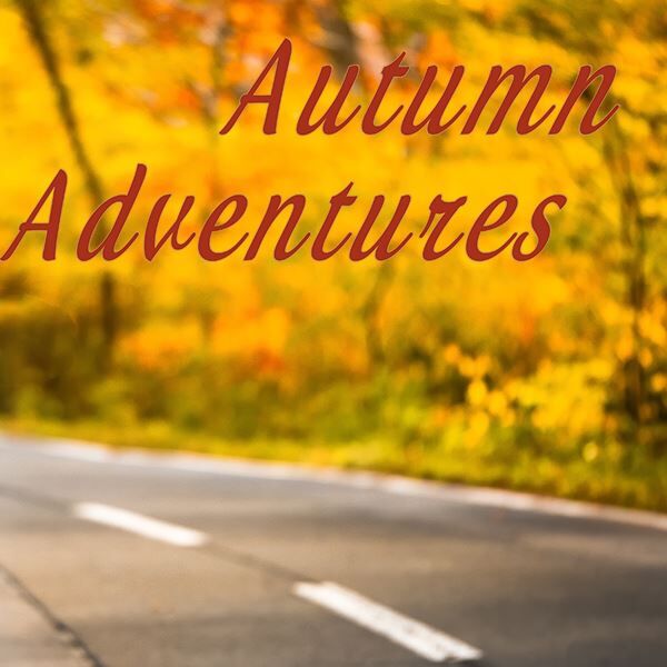 Autumn Adventures Survey