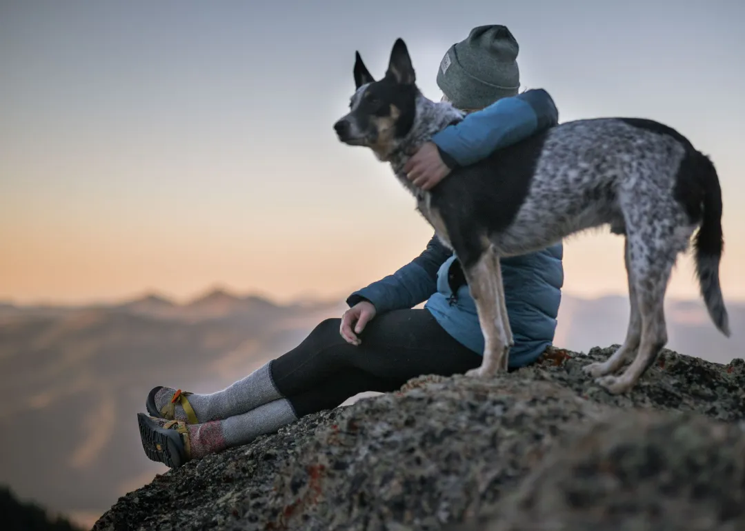 South Dakota A person sitting on a rock in the mountains with a heeler mix dog.