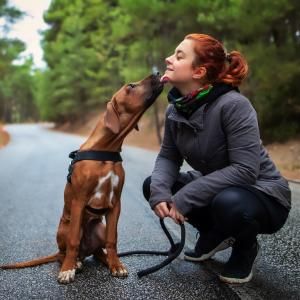 Easy dog breeds for first-time owners