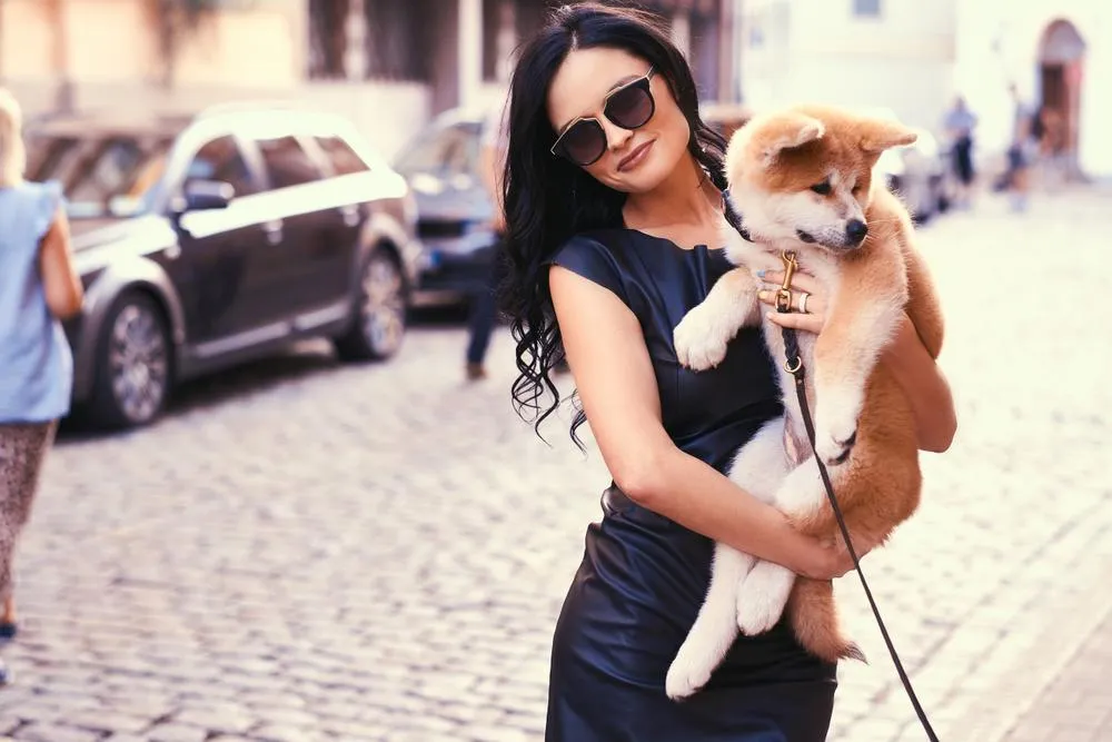 Most popular puppy names in America