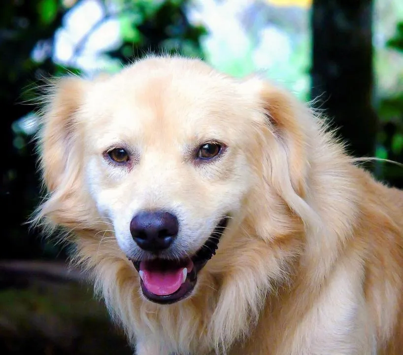 #15. Zoey; Leo