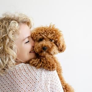 25 dogs that won't make you sneeze