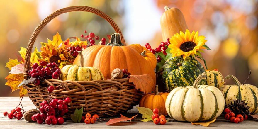 Take Our 2025 Thanksgiving Quiz!