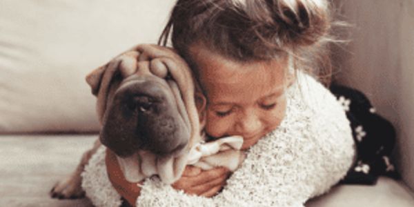 Most popular dog breeds that are good for kids