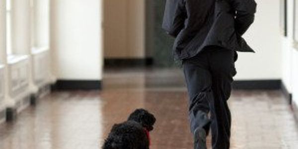 A history of presidential pets