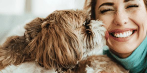 50 fascinating facts about dogs