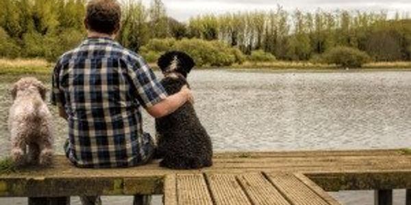 Most popular male dog names