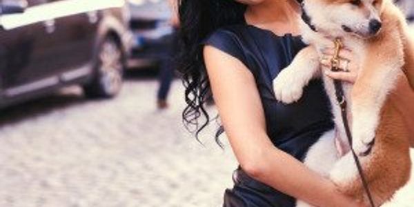 Most popular puppy names in America