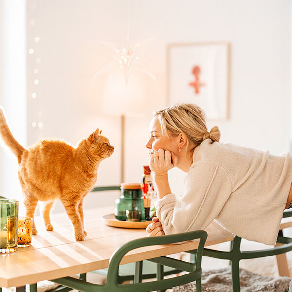 How to say sorry so your cat actually gets it, according to experts