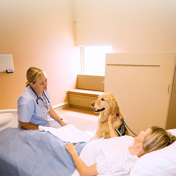 Man’s best friend, or man’s best nurse? 61% say pets provide major comfort