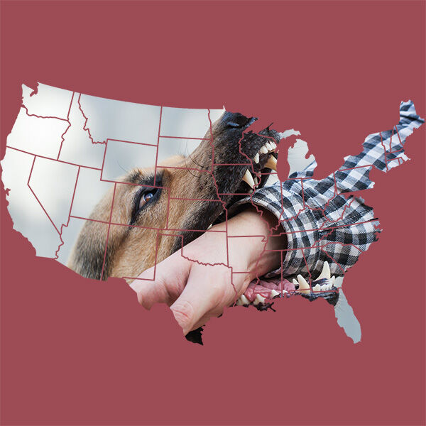 Dog bite incidents by state