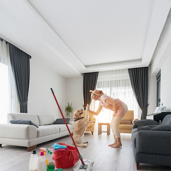 The ultimate spring cleaning checklist for dog owners