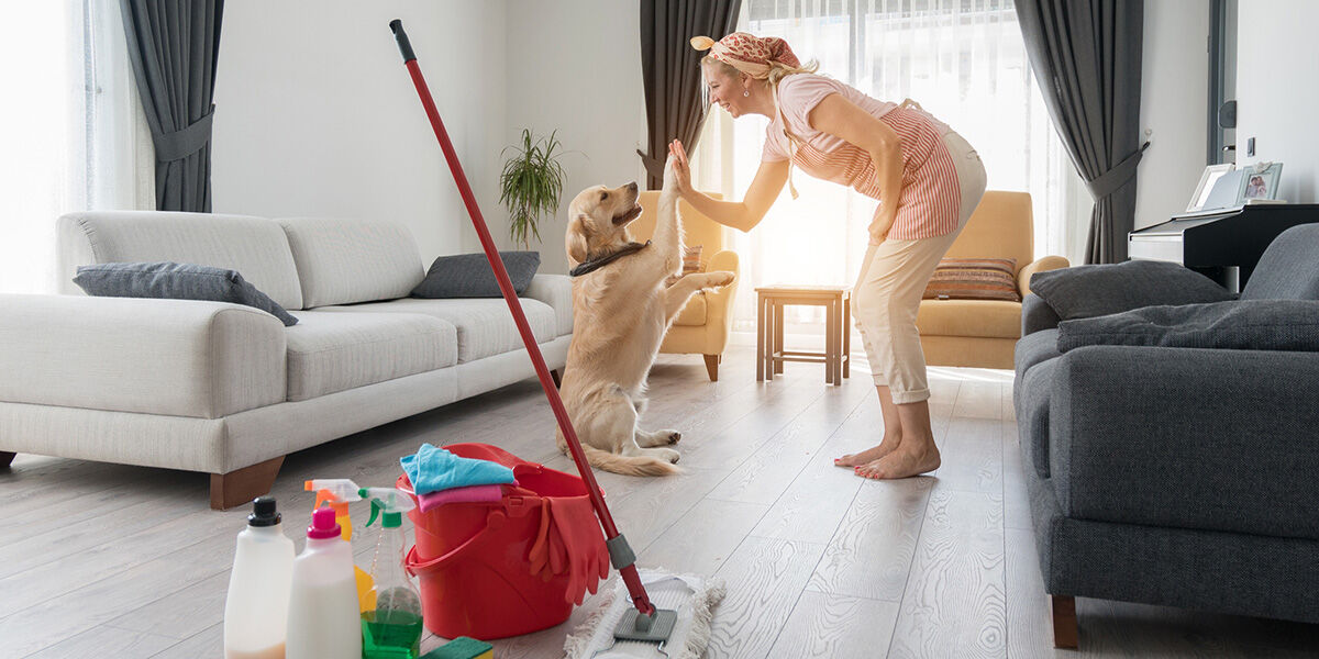 The ultimate spring cleaning checklist for dog owners | 105.1 FM WAVA ...