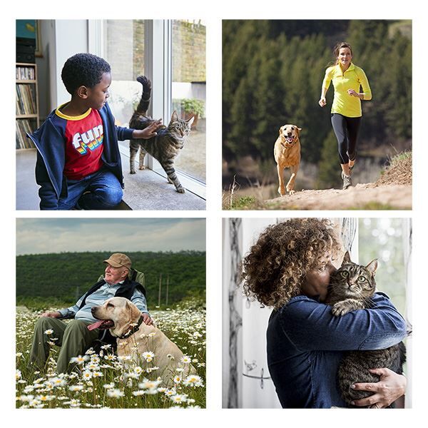 pet ownership for better health