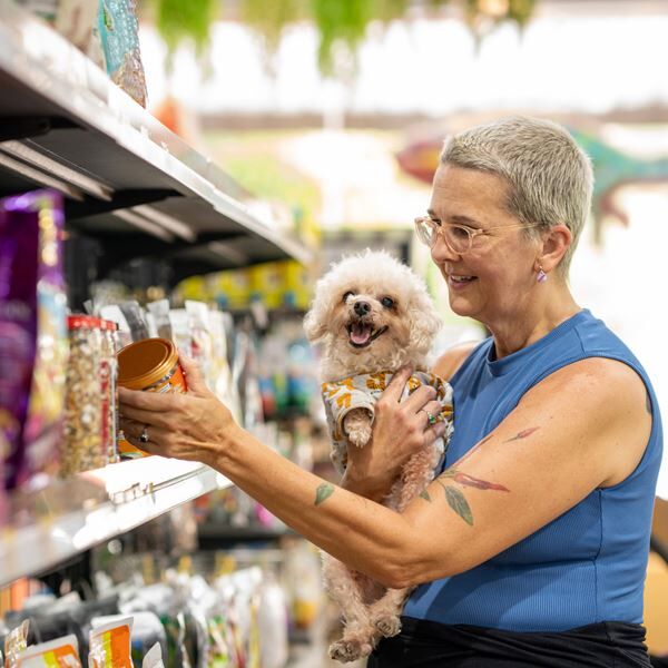 The ultimate guide to pet food safety