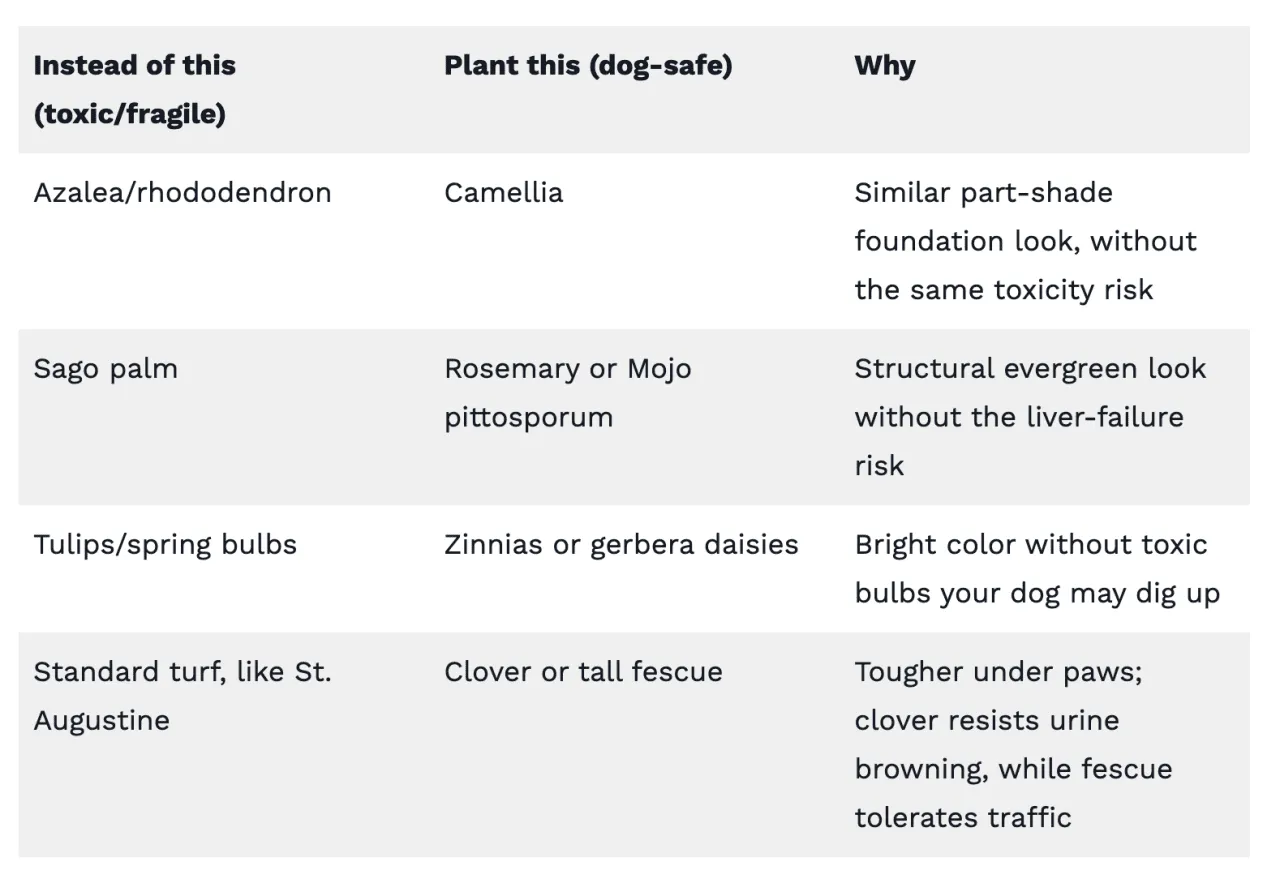Table reporting pet-safe plant swaps.