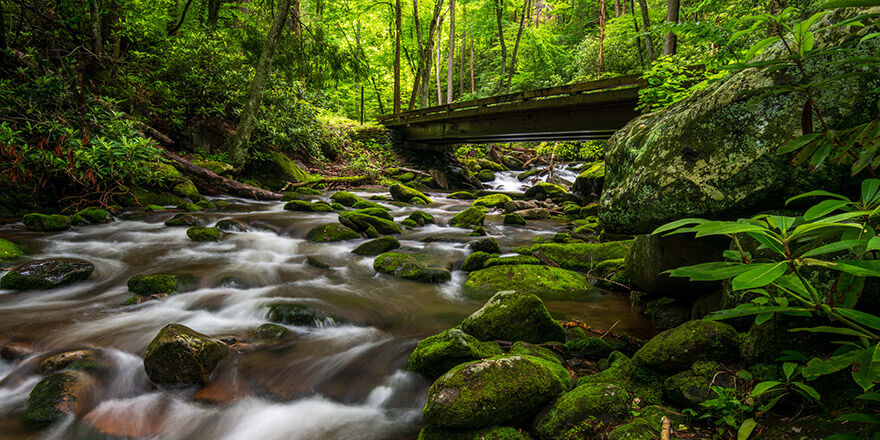 Great Smoky Mountains