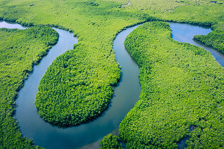 Amazon Rainforest, Brazil