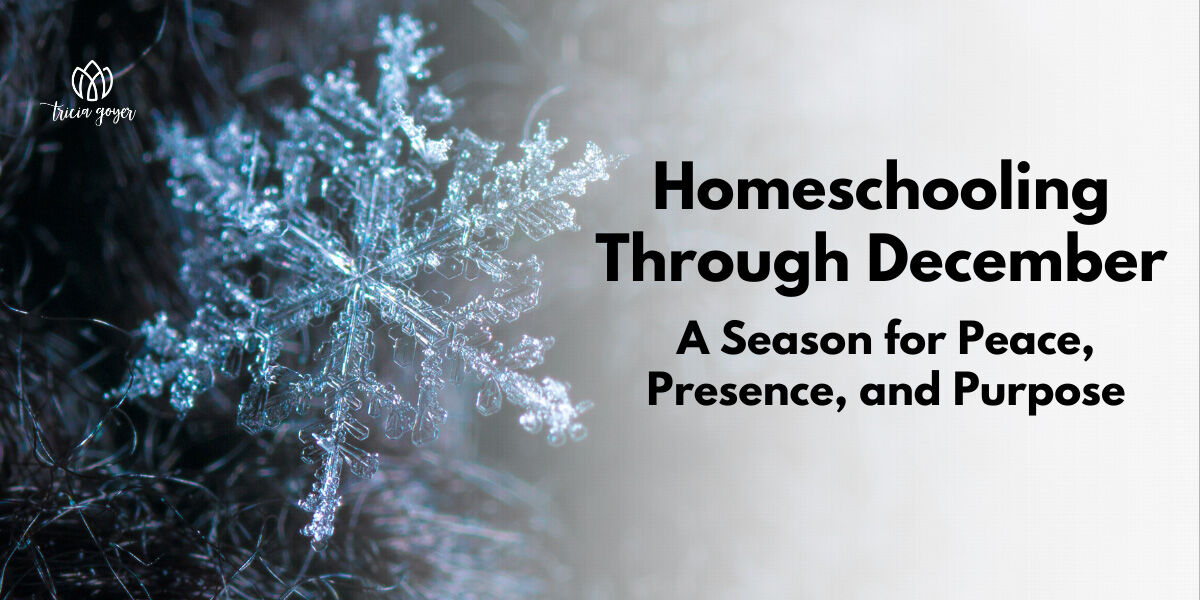 Homeschooling in December