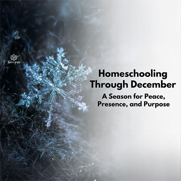 Homeschooling in December