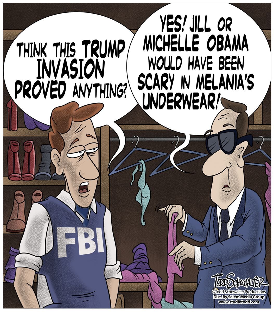 : Conservative Cartoons by Todd Schowalter 