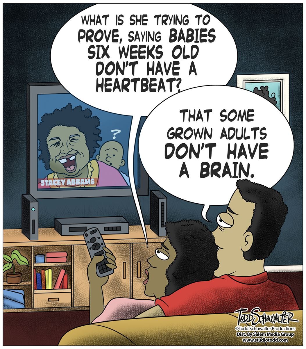 : Conservative Cartoons by Todd Schowalter