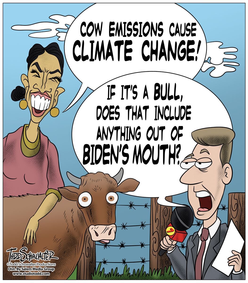 : Conservative Cartoons by Todd Schowalter 