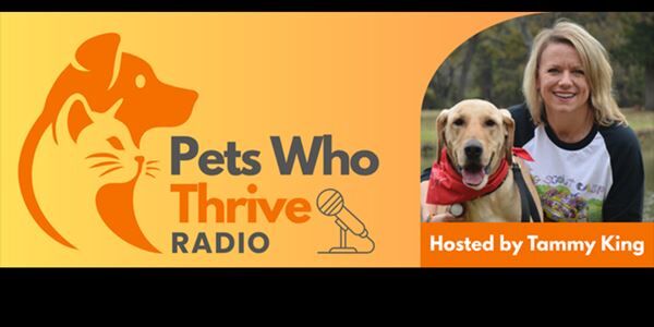 Listen Sundays At 2pm