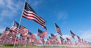 Lawmaker worries that new bill could apply to stealing flags on a cupcake
