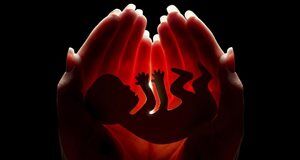 Ducey signs abortion bill into law
