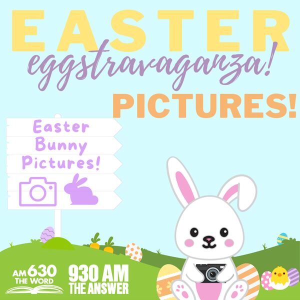 Bunny Pics