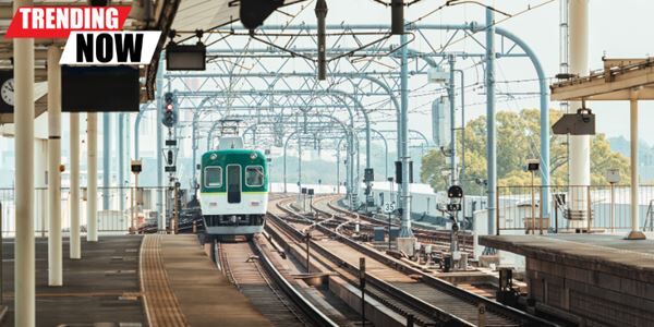 Buses and trains see resurgence amid US air travel chaos