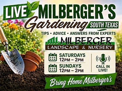 Milberger's Gardening South Texas