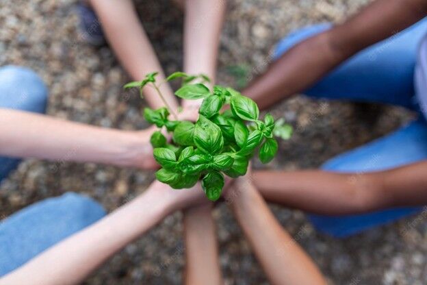 Cool Congregations Cohort