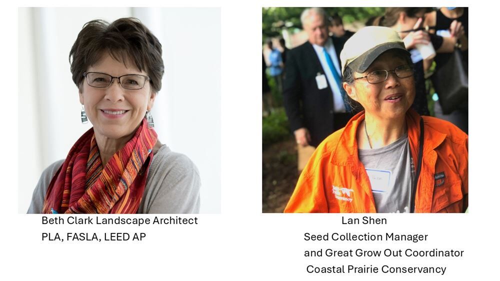 Pocket Prairies for Faith Communities