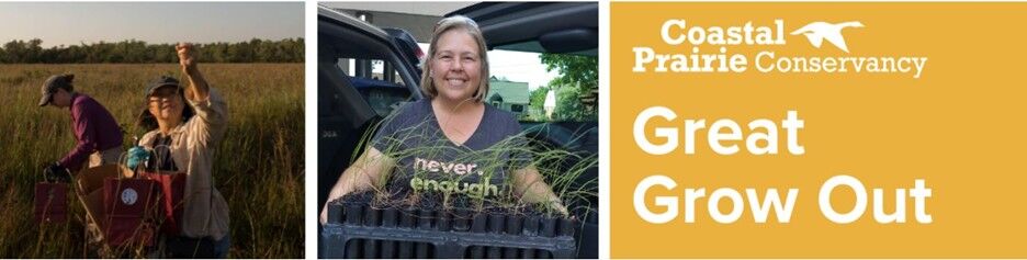 Pocket Prairie and Great Grow Out Workshop