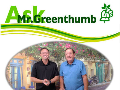 Ask Mr. Greenthumb and Real Estate Show