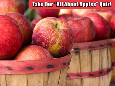 Take Our "All About Apples" Quiz!